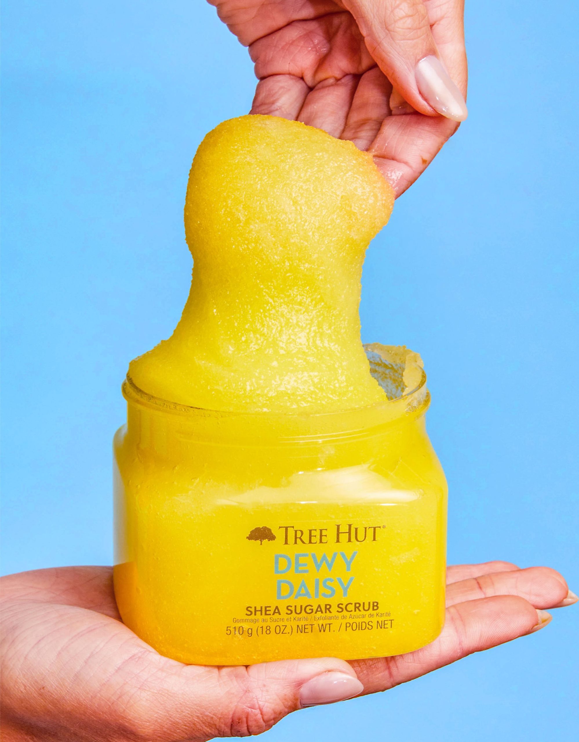 Dewy Daisy Shea Sugar Scrub - Image 7